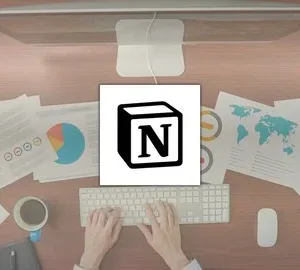 Notion learning systems